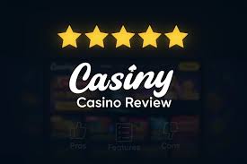 Everything You Need to Know About Casiny Login