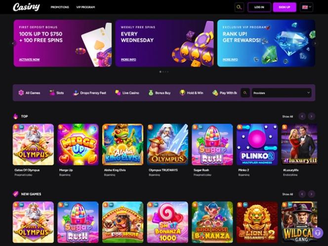 Everything You Need to Know About Casiny Login